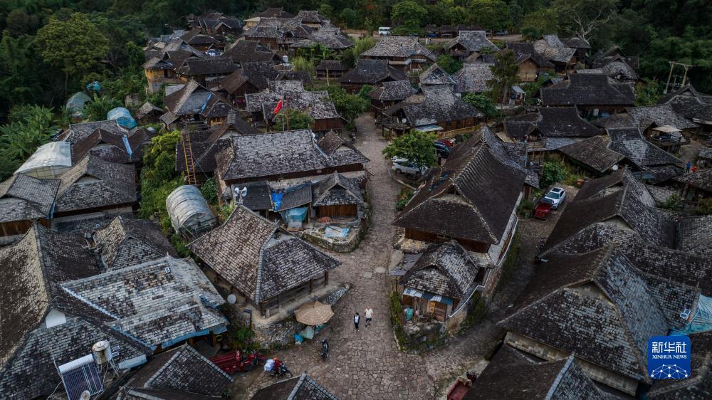 新匍京在线登陆